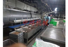 皮带式重量分选机