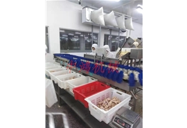 塑料盒式重量分拣机