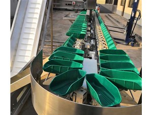  想知道自动检重秤是怎样工作的吗?