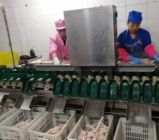 塑料盒式重量分拣机