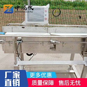 皮带式重量分拣机