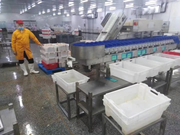 塑料盒式重量分拣机