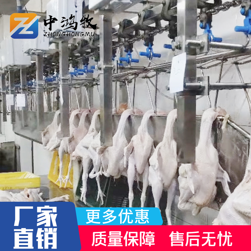 在线重量分选机