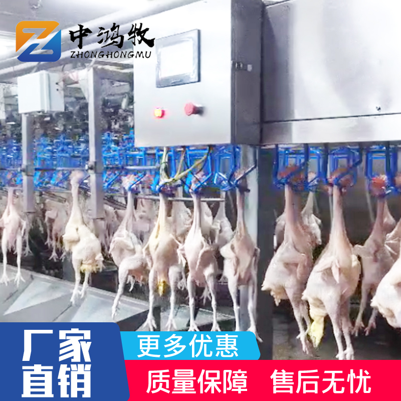 在线重量分选机